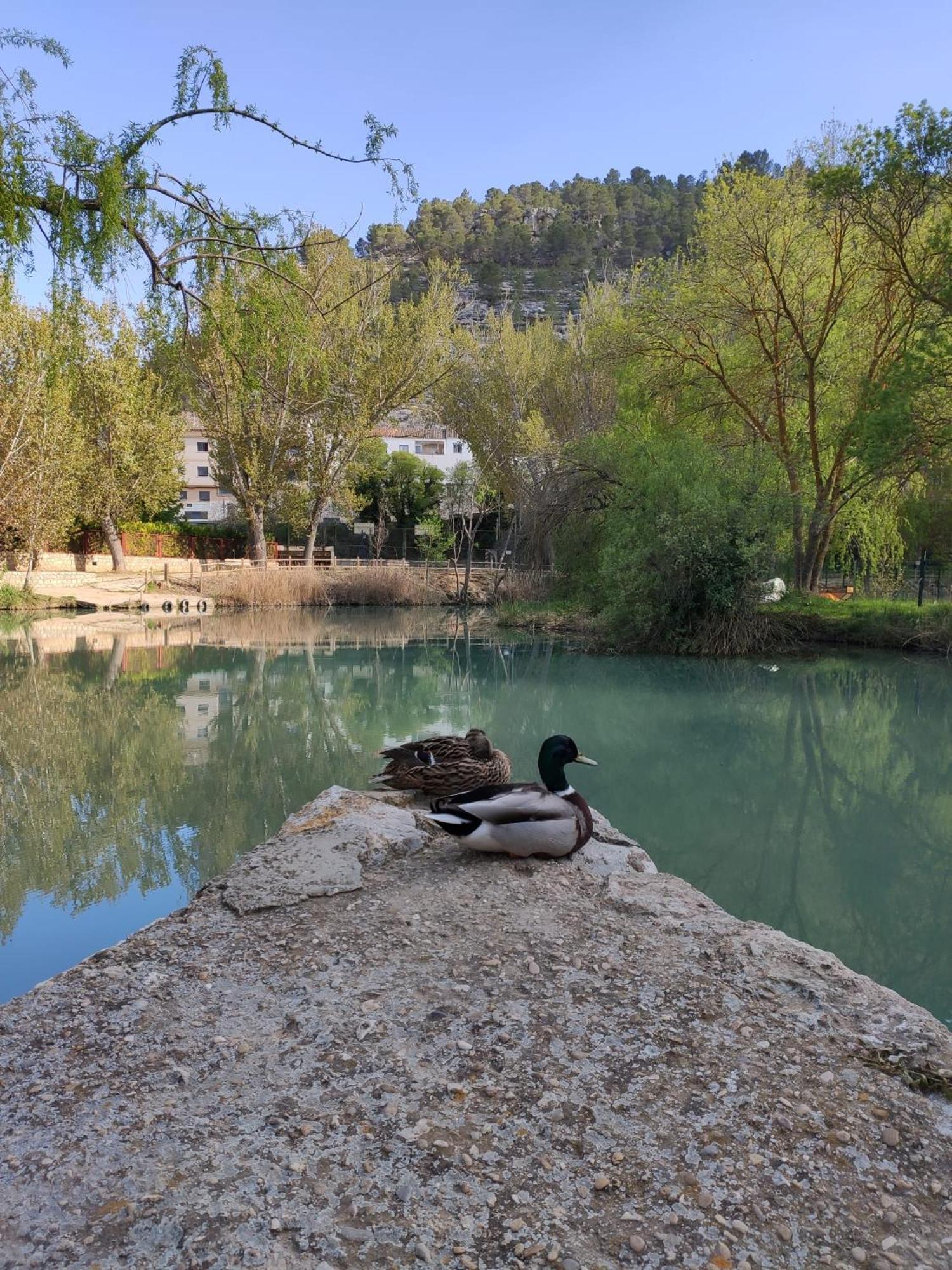 Casa Cueva Araceli Villa Alcalá del Júcar Kültér fotó